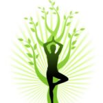 main_514249_yoga_tree